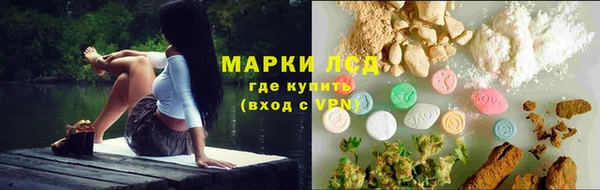 сатива Нягань