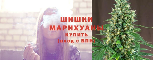 spice Няндома