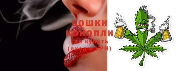 spice Няндома