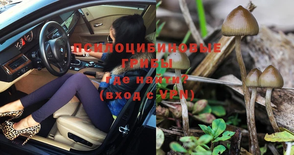 MDMA Premium VHQ Нязепетровск