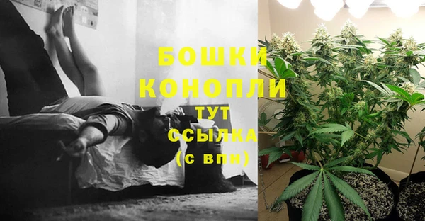 сатива Нягань