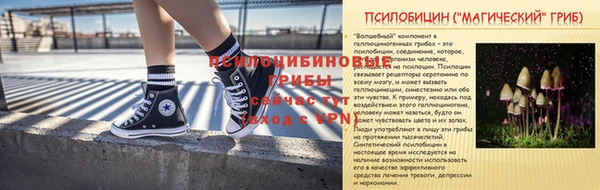молекула духа Осинники