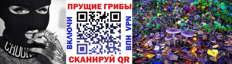 Галлюциногенные грибы ЛСД  это состав  Кимовск 
