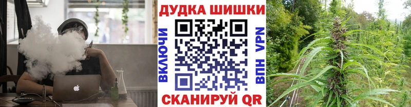 хочу   Кимовск  mega ссылки  Канабис ГИДРОПОН 