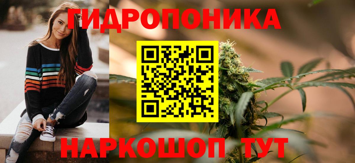 Кимовск  Шишки марихуана планчик  Канабис план  Вход с VPN  МАРИХУАНА ГИДРОПОН 